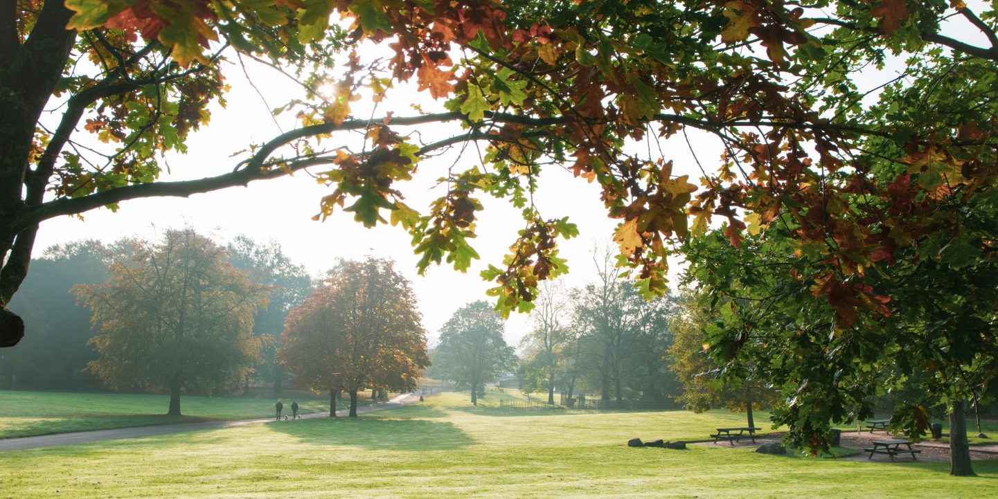 Golden autumn in the Heaton Park Manchester