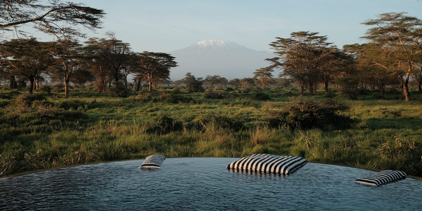 From adventurous safaris to diving among sea turtles: enchant yourself by diverse Kenya 